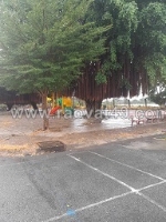 Hót hót hót chính chủ cần tiền bán nhanh lô đất vị trí đẹp- khả năng sinh lời