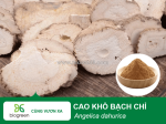 Mua bán cao khô bạch chỉ giá cạnh tranh