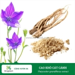 Mua bán cao khô cát cánh hàng chất lượng cao giá tốt