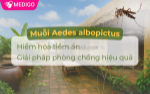 Muỗi aedes albopictus ( muỗi vằn châu á ) cách nhận biết và phòng chống