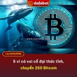 Năm ví cá voi cổ đại thức tỉnh, chuyển 250 bitcoin