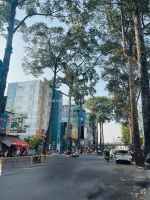 Nội thất gỗ cao cấp – nhà đẹp nguyễn tri phương q10 – 3 tầng – 5.27 tỷ.