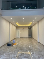 Phân lô, mặt phố, trịnh đình cửu- hoàng mai, 50 m2, 7 tầng thang máy, giá 24,5