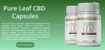 Pure leaf cbd capsules: best results & where to buy? [news]