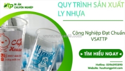 Quy trình sản xuất ly nhựa tiêu chuẩn – chất lượng từ nguyên liệu đến thành phẩm