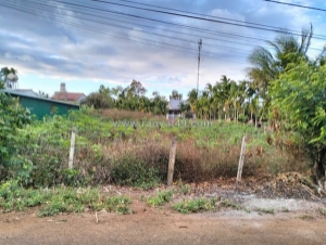 Tôi cần bán 2 lô đất, phường tân lập, tp buôn mê thuột đắk lắk. ( hoà thắng cũ).