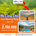 Trải nghiệm du thuyền hạ long 5 sao: hành trình sang trọng giữa kỳ quan thiên nhiên