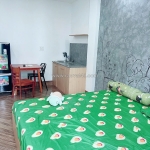 Tt sơn trà,75m2 phạm cự lượng, 5 phút ra biển mỹ khê chỉ 5.x tỷ