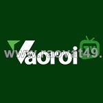 Vaoroi tv phát sóng những giải đấu nào?