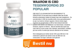 Wat zeggen gebruikers? frank & frey cbd reviews in nederland