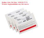 Windows 11 pro – nâng tầm hiệu suất, bảo mật tối ưu