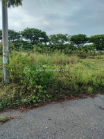 🌟 đất đẹp khu tđc tân trà, đà nẵng – giá chỉ 3,95 tỷ 🌟