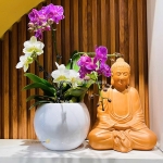 2025 năm của chậu cây composite bạn đã có chưa