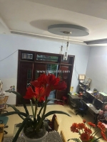 209 - nhà 2 tầng đường phú xuân 5 - hoà minh liên chiểu - liên chiểu - liên hệ
