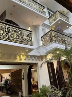 229 - biệt thự khu hoà minh - gần biển - biệt thự tân cổ điển hiện đại - giá