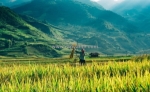 A cross - border journey to discover the luxury of vietnam laos cambodia thailand luxury tours