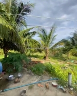 Bán 2.4 hecta đất tân hải - tx lagi giá ngộp 120  triệu/ sào