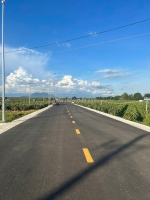 Bán 27.5m x 32m đất mặt tiền nguyễn minh châu - tân hải - lagi giá ngộp 66tr/m