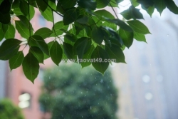 Bạn đã biết cách chống ẩm mốc quần áo mùa mưa hiệu quả chưa?