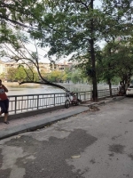 Biệt thự 4 tầng võ thị sáu lô góc view hồ 115m 36 tỷ.