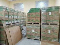 Cáp mang amp, alantek, vinacap, golden link chính hãng