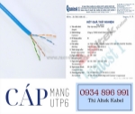 Cáp mạng utp/ftp cat6 – hỗ trợ hệ thống camera & mạng văn phòng