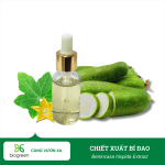 Chiết xuất bí đao nguyên liệu mỹ phẩm từ thiên nhiên