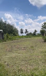 Chính chủ bán 1575,7m2 đất vườn tại phường trảng bàng, thị xã trảng bàng, tây