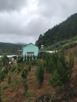 Chính chủ cần bán 1000m2 nn tà nung đà lạt - 1.3 tỷ