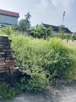 Chính chủ cần bán lô đất gần kcn đoan bái – hiệp hòa, bắc giang