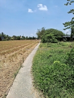 Chính chủ cần bán lô đất tấn, tân trụ, long an