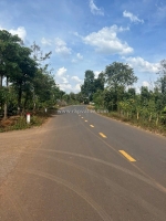 Cưmagr- đắk lắkdt hơn 600m2 đất đỏ bazan có cà phê, tiêu, sầu riêng trên đất