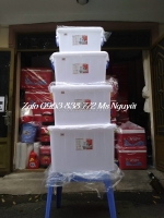 Đại lý bán thùng nhựa đa năng giá rẻ tại q12