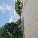 Đất đấu giá thuận an, hà nội (đặng xá, gia lâm cũ). 80m2, đường trục chính, 7