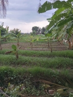 Đất đẹp - giá tốt - bán gấp lô đất tiềm năng tại đường lương đình của, phường
