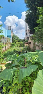 Đất mặt tiền đường tân hiệp 08, sát mặt tiền đường dương công khi. vị trí đắc