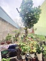 Đất vuông shr hxh 83m2 – phan huy ích gò vấp sss