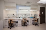 Dấu hiệu nhận biết chỉ khâu tự tiêu sau nhổ răng khôn đã rụng hết là gì?