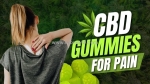 Evergreen farms cbd gummies – is it 100% efficient method