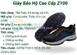 Giày bảo hộ z100
