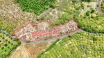 Hòa phú- buôn ma thuột- đắk lắk dt hơn 5 sào view sông serepok xinh đẹp đất sẵn