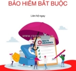 Mycars.vn – đơn vị uy tín chuyên cung cấp các gói bảo hiểm ô tô