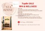 Nta house – tuyển dụng nhân viên sale spa & wellness