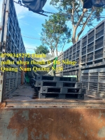 Pallet nhựa đà nẵng giá rẻ từ 1xxk – 0799 345 292