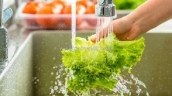 Rau củ và trái cây chứa dư lượng thuốc trừ sâu: nguy cơ sức khỏe và giải pháp an toàn cho gia đình
