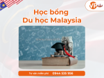 Săn học bổng du học malaysia: cơ hội vàng nằm trong tầm tay