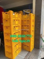 Sóng nhựa cà chua giá rẻ bán tại phước đạt q12