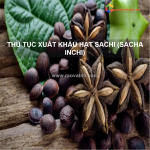 Thủ tục xuất khẩu hạt sachi (sacha inchi)