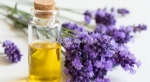 Tinh dầu lavender là gì? tác dụng tuyệt vời cho da và sức khỏe