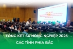 Tổng kết sản xuất nông nghiệp 2025 tỉnh phía bắc